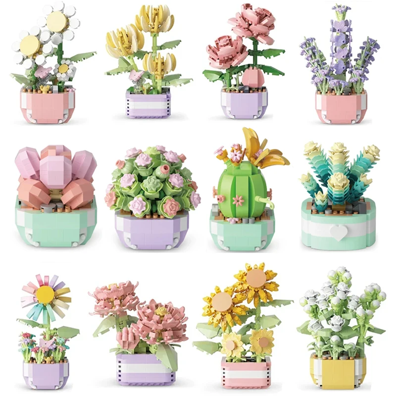 Flower Succulents Building Blo - đánh giá và giá Plant Parent Kit
