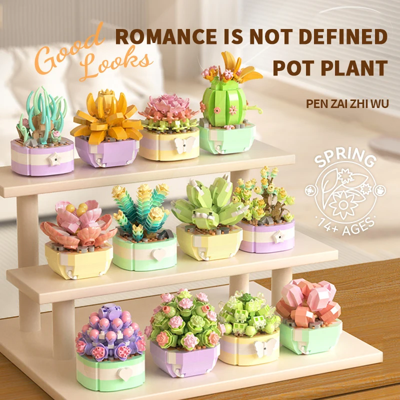 Flower Succulents Building Blo - đánh giá và giá Plant Parent Kit