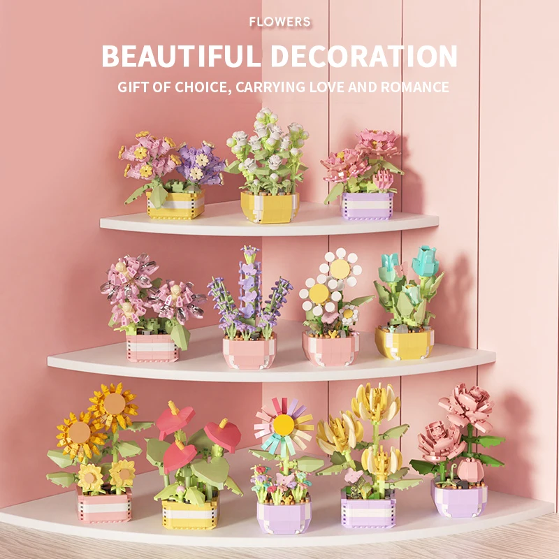 Flower Succulents Building Blo - đánh giá và giá Plant Parent Kit
