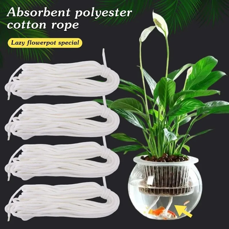 Self Watering Cotton Wick Cord - đánh giá và giá Plant Parent Kit