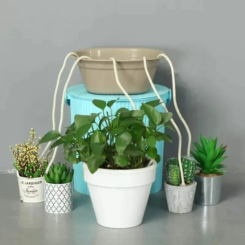 Self Watering Cotton Wick Cord - đánh giá và giá Plant Parent Kit