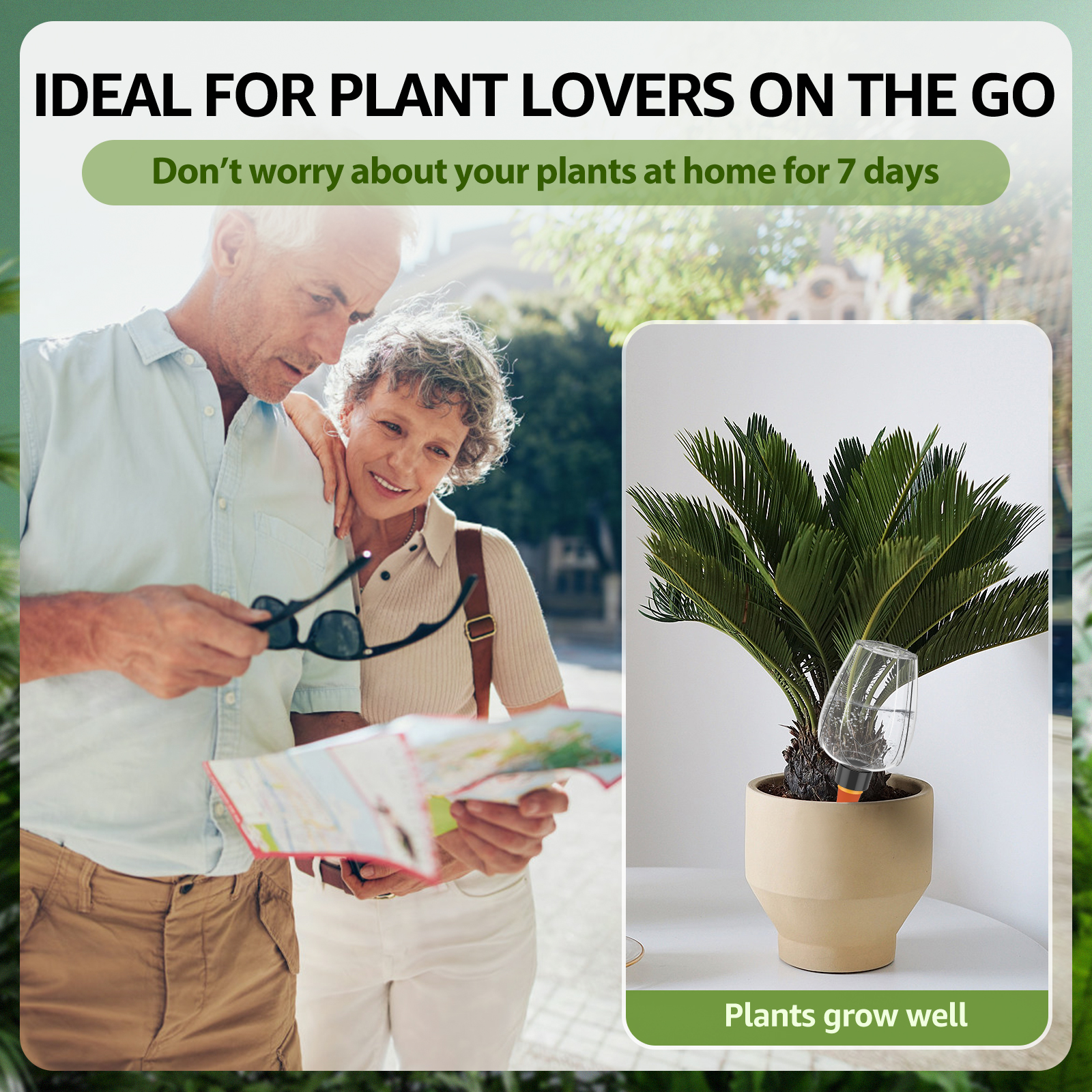 4Pcs Plant Watering Balls 350M - đánh giá và giá Plant Parent Kit