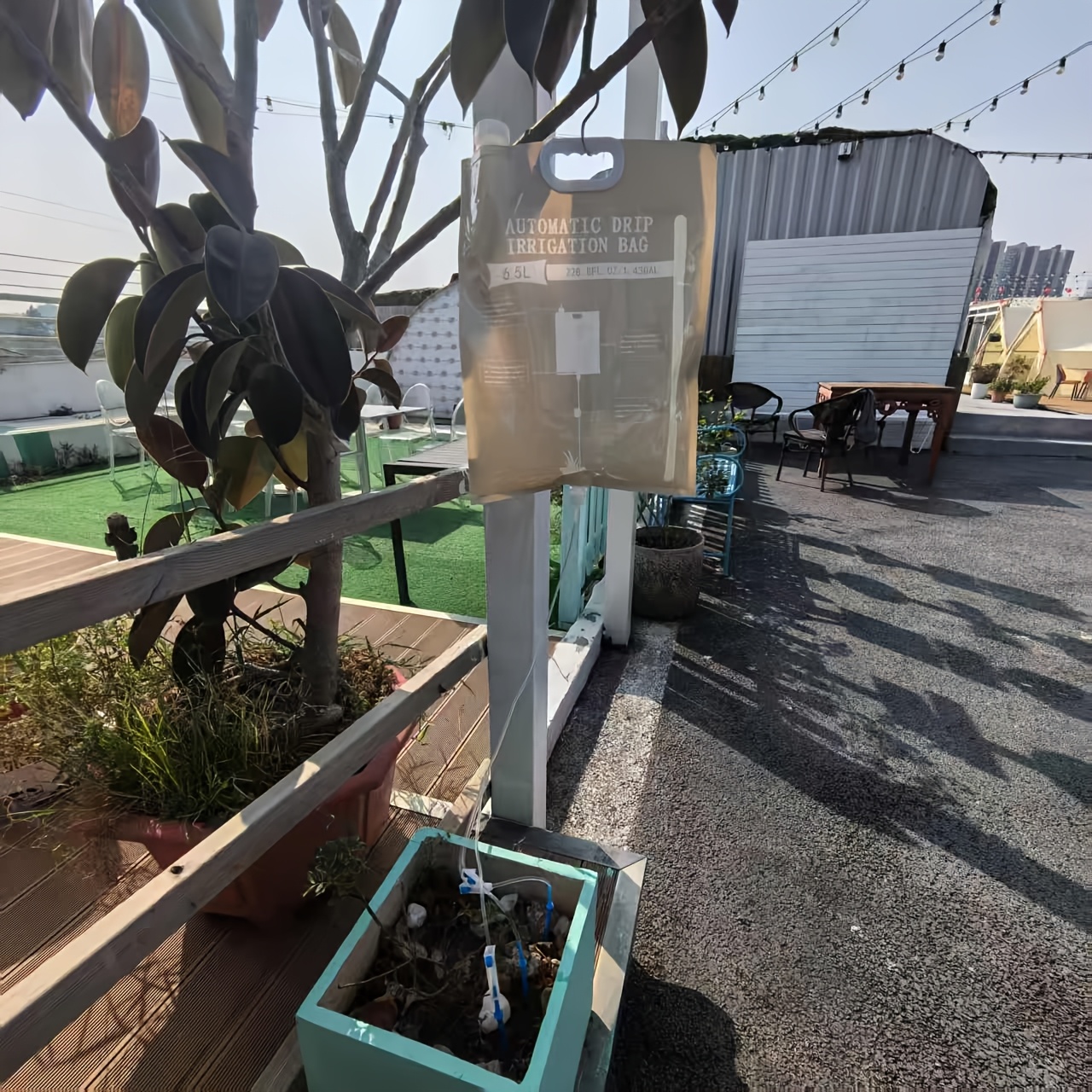 Automatic Watering Dripper,Adj - đánh giá và giá Plant Parent Kit