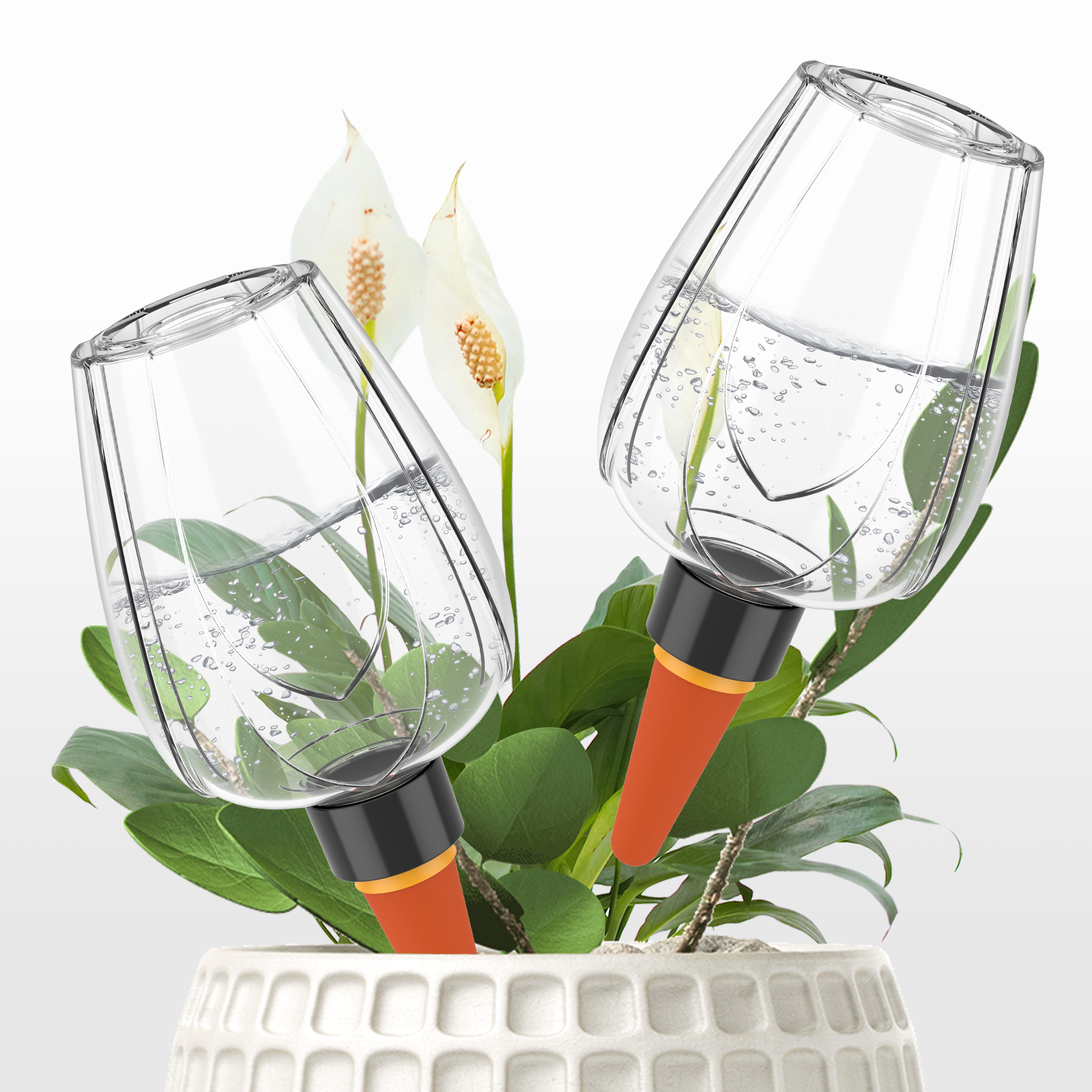 4Pcs Plant Watering Globe Clea - đánh giá và giá Plant Parent Kit