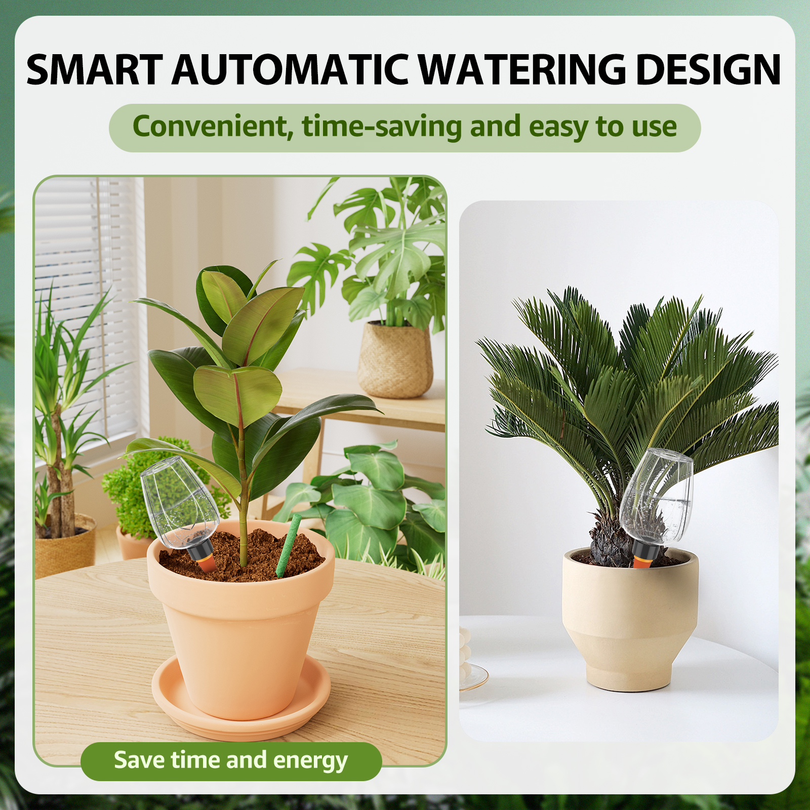 4Pcs Plant Watering Globe Clea - đánh giá và giá Plant Parent Kit