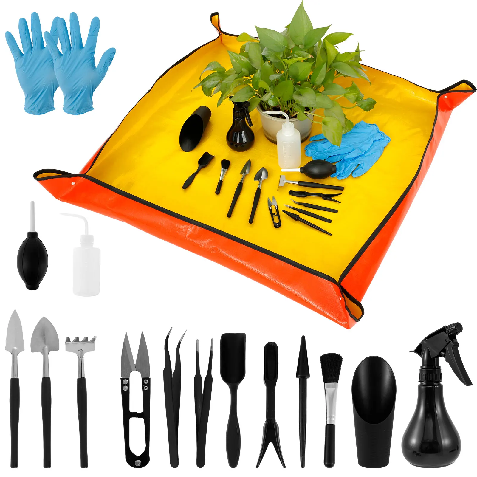13/16Pcs Garden Succulent Plan - đánh giá và giá Plant Parent Kit