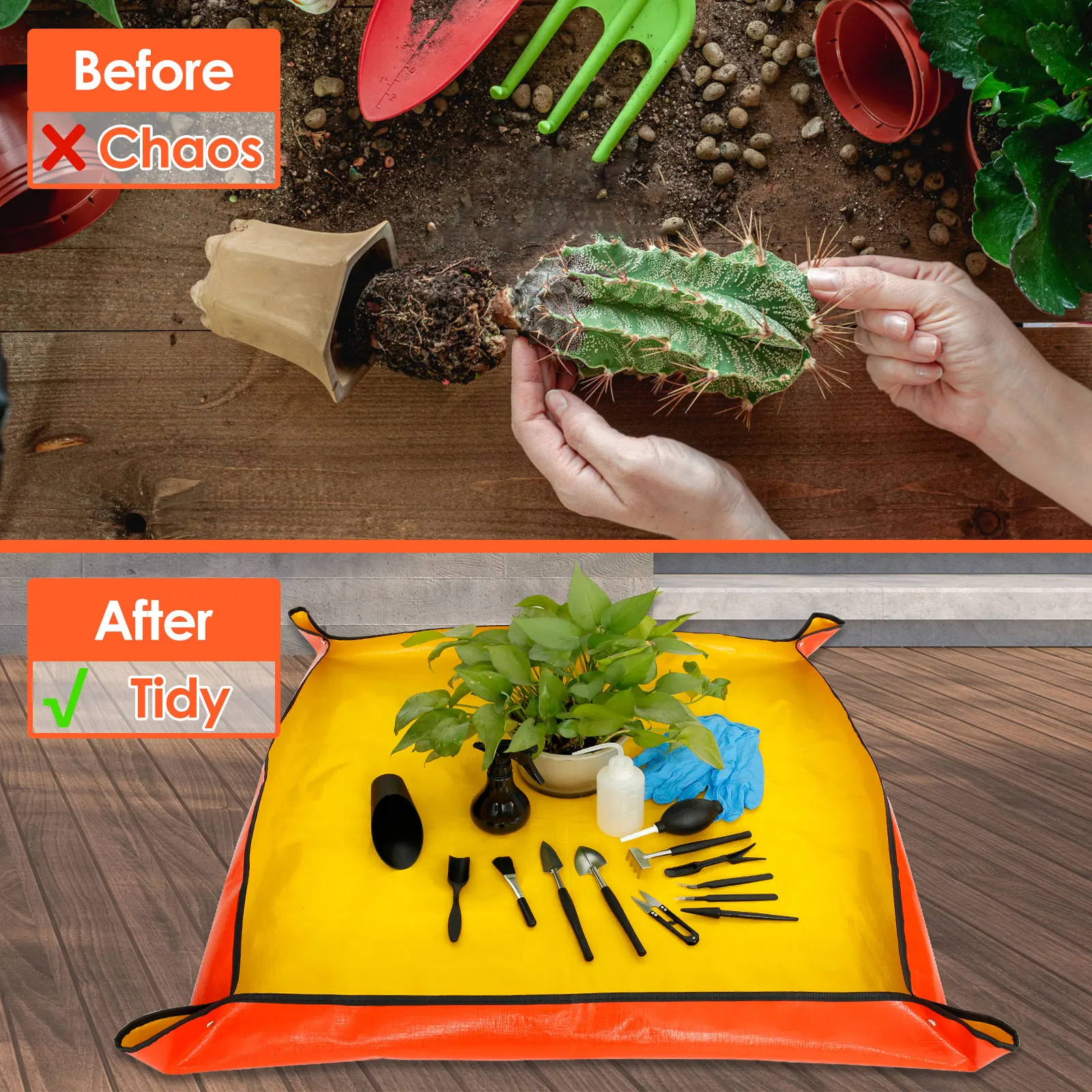 13/16Pcs Garden Succulent Plan - đánh giá và giá Plant Parent Kit