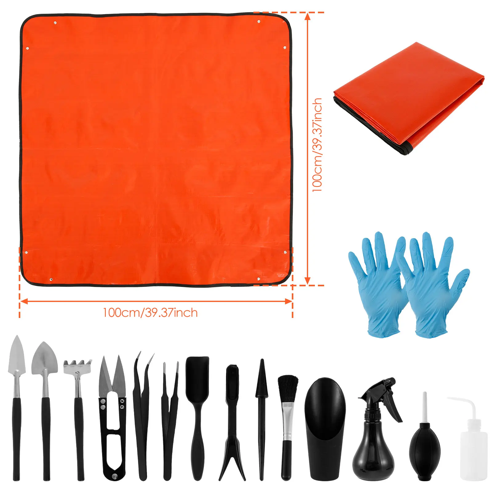 13/16Pcs Garden Succulent Plan - đánh giá và giá Plant Parent Kit