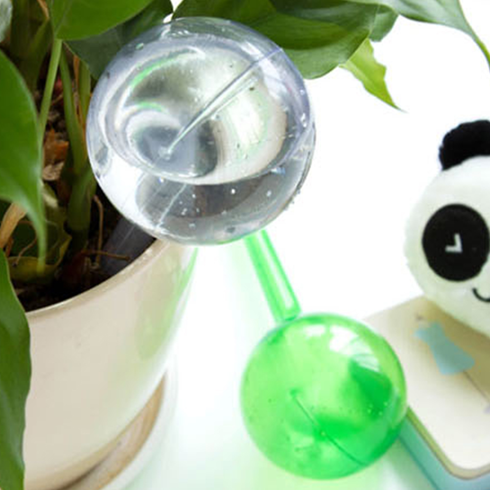 Automatic Plant Watering Bulbs - đánh giá và giá Plant Parent Kit