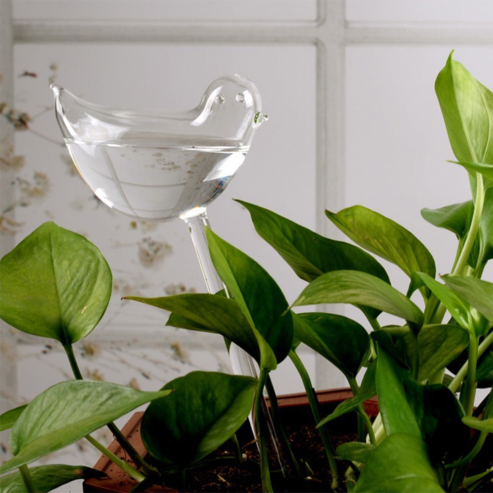 Automatic Plant Watering Bulbs - đánh giá và giá Plant Parent Kit