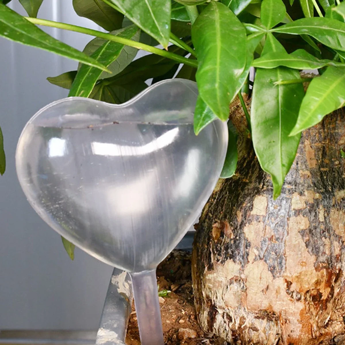 1pc Automatic Plant Watering B - đánh giá và giá Plant Parent Kit