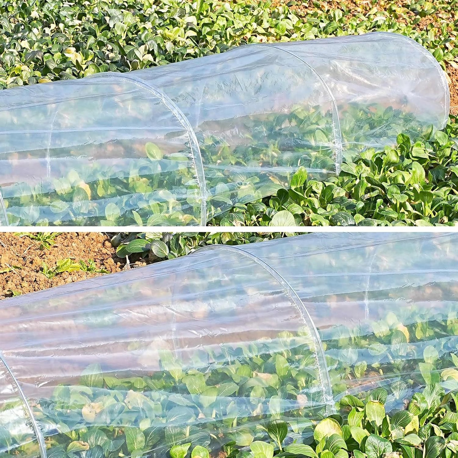 2 in 1 Greenhouse Tunnel Green - đánh giá và giá Plant Parent Kit
