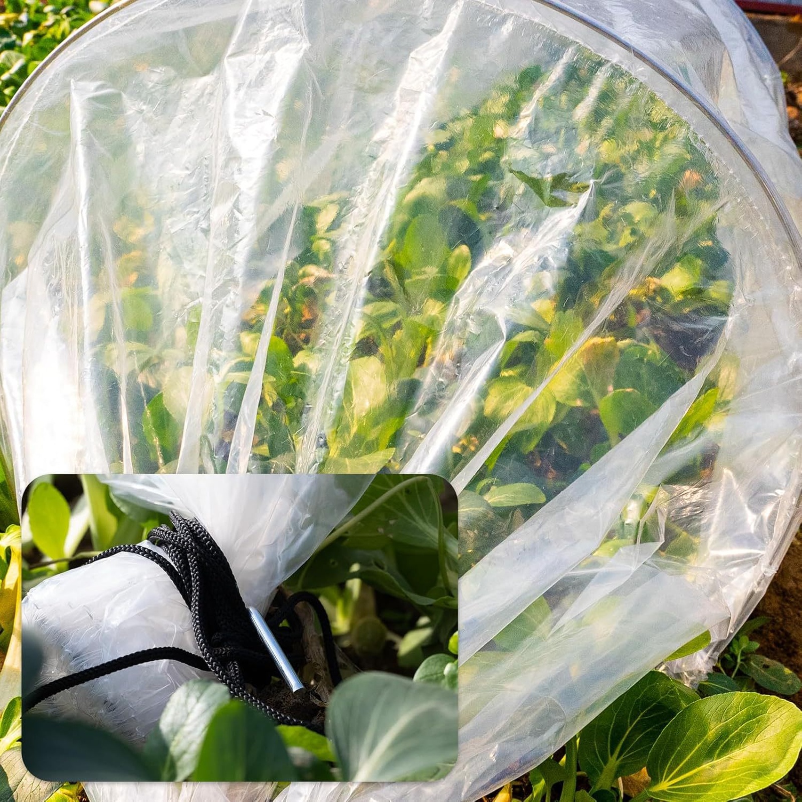 2 in 1 Greenhouse Tunnel Green - đánh giá và giá Plant Parent Kit